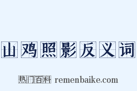 山鸡照影反义词是什么意思的图片